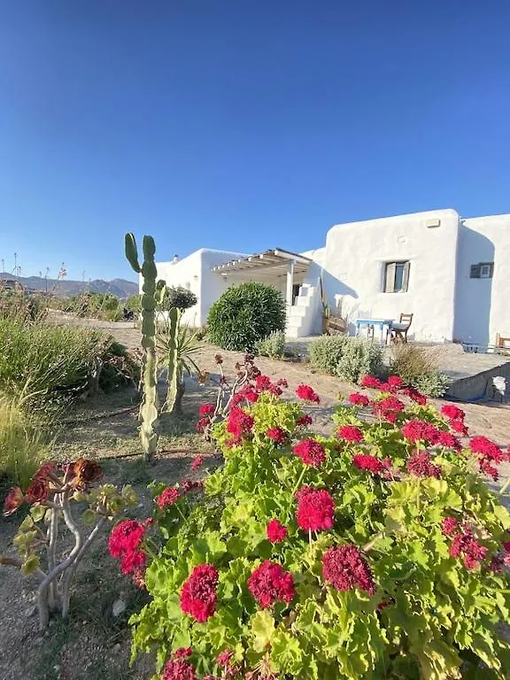 Aura Villa A Story To Tell Mykonos Town 0*,  希腊